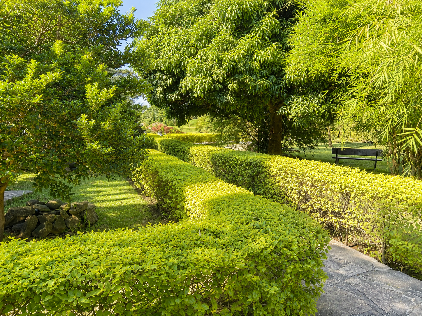 Flagstone path between clipped hedges in the gardens at Warujojo Safari Lodge