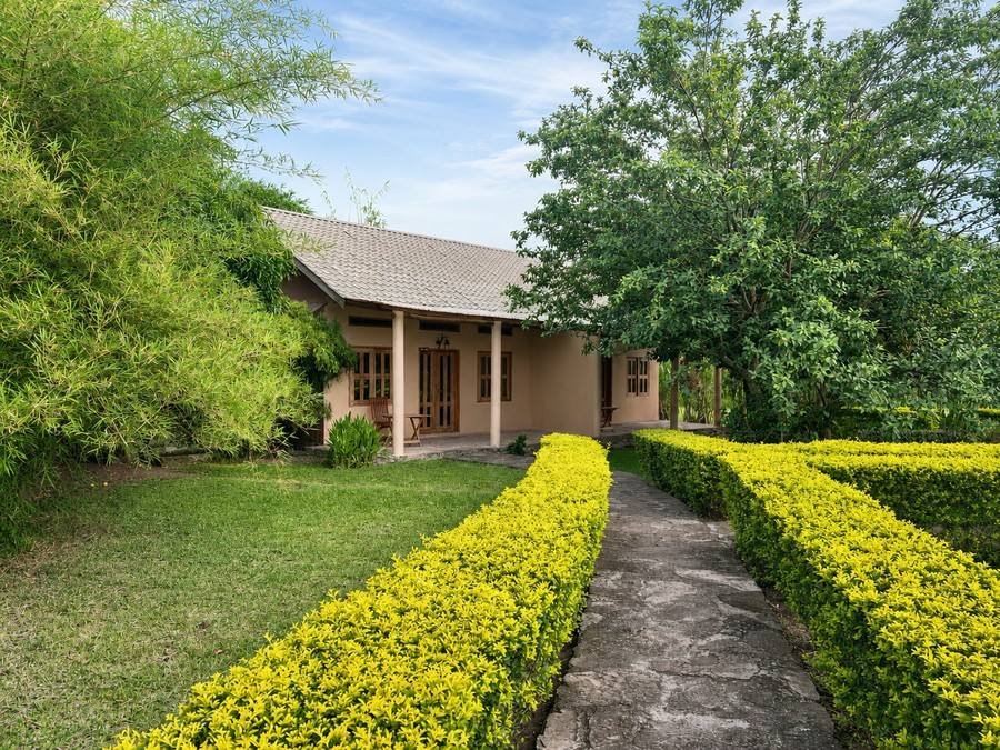 A thatched guest cottage at Warujojo framed by flowering red bougainvillea
