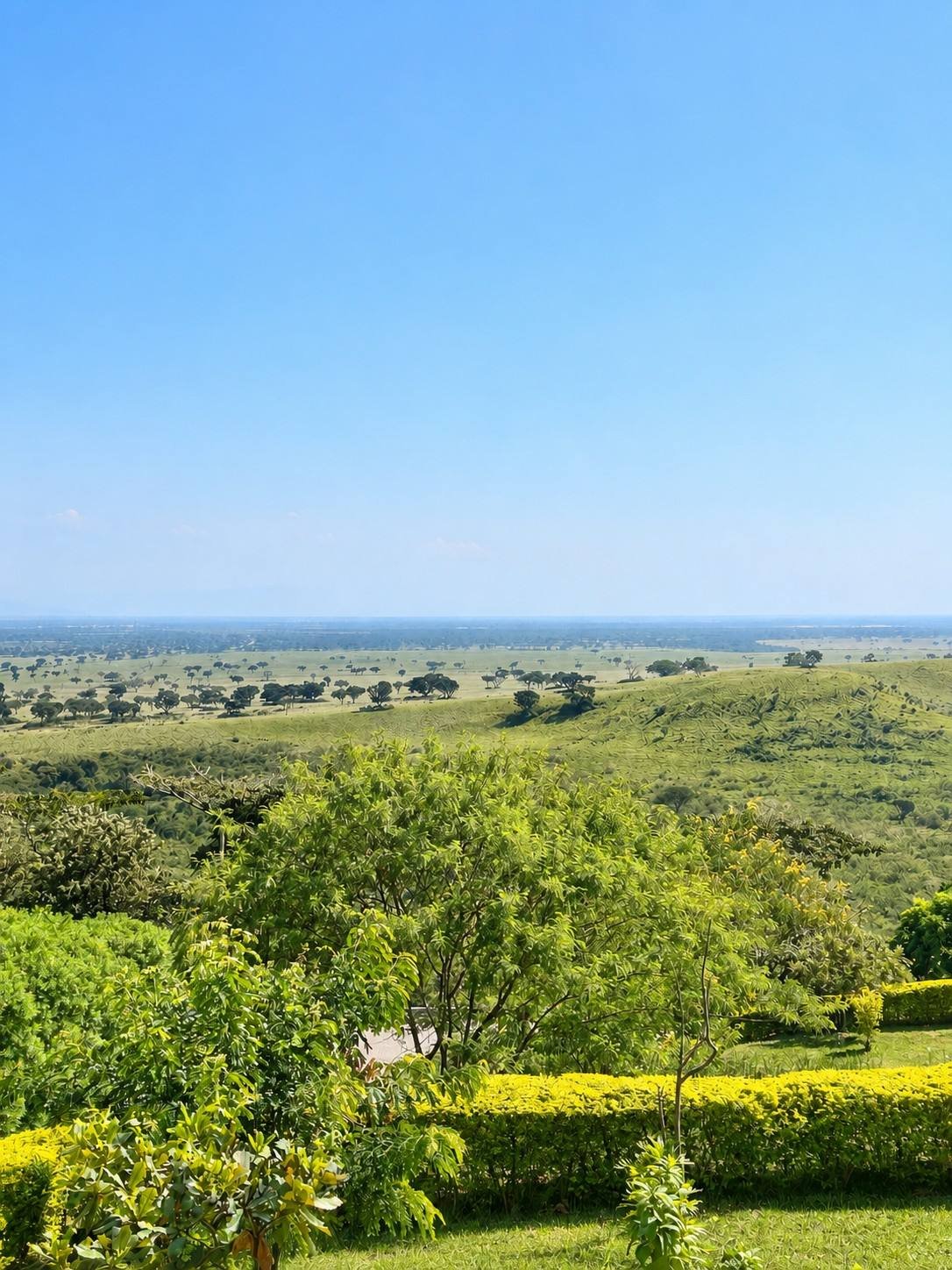 The lodge garden hedge giving way to the plains of Queen Elizabeth National Park